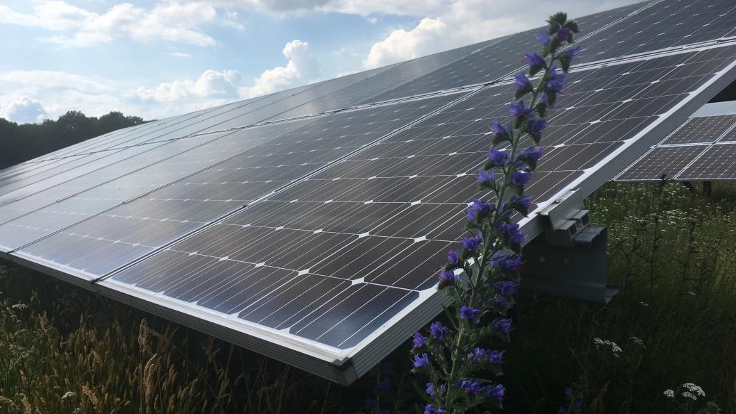 Duurzame energie opgewekt op Solarpark de Kwekerij in Hengelo gld.