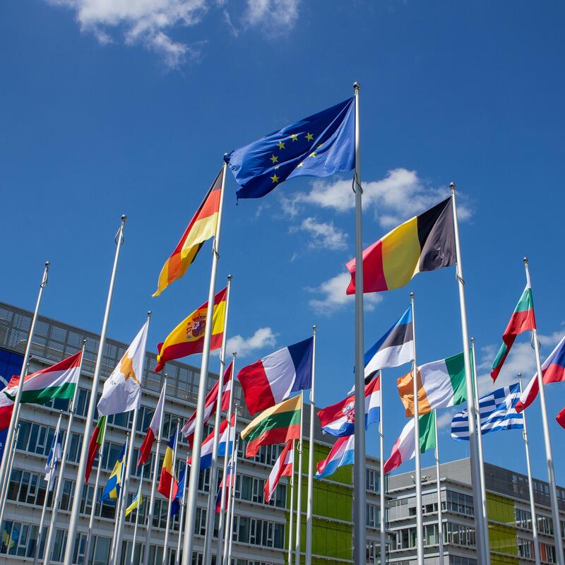 europesevlaggen